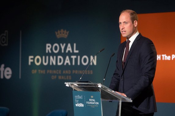 Nium to work with Prince William’s ‘United for Wildlife’ Financial Taskforce