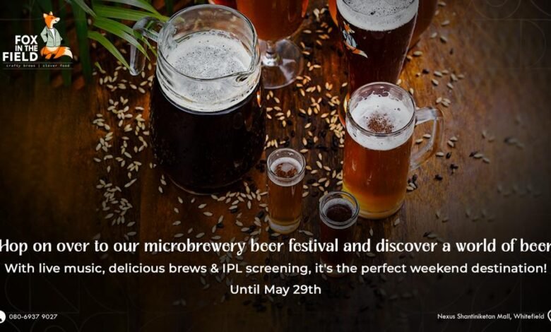 Best Microbrewery in Bangalore Fox in the Field Hosts Epic Beer Festival with Brewer Nathan Ross